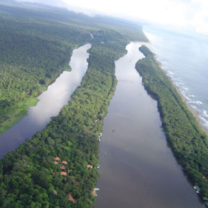 Tortuguero