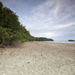 Beach Cocles Puerto Viejo