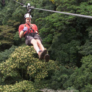 Canopy Tour